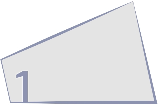 1. VALVOLE DI SICUREZZA CON MICROINTERRUTTORE